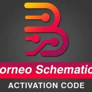 BORNEO SCHEMATICS (12 Months)